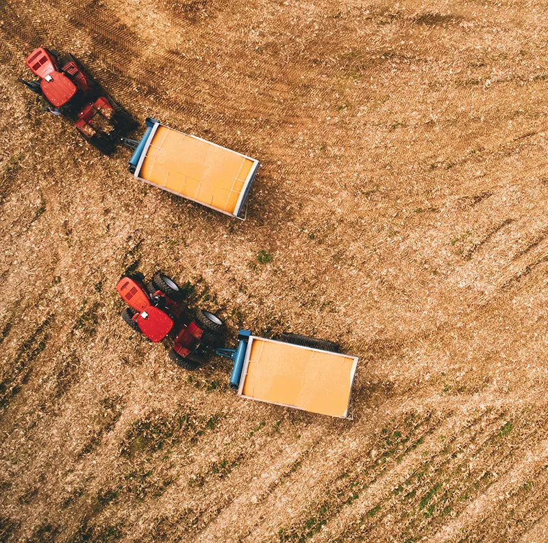 Discover how organic manure enhances soil fertility, boosts microbial activity, and supports long-term crop productivity for sustainable agriculture.
