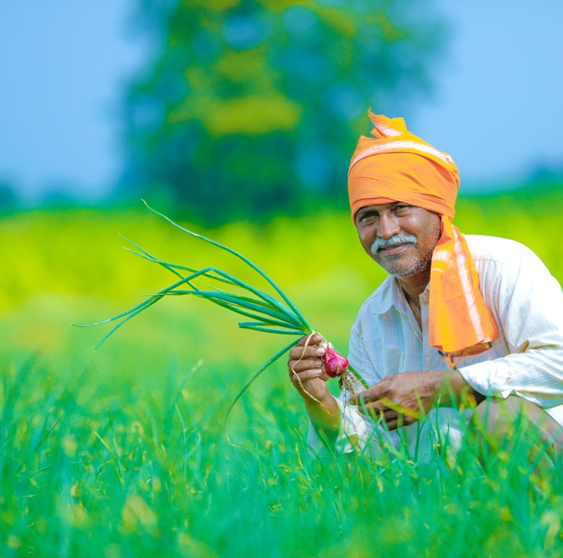 Discover the role of soil microbial activity in improving nutrient availability, soil fertility, and long-term crop productivity.