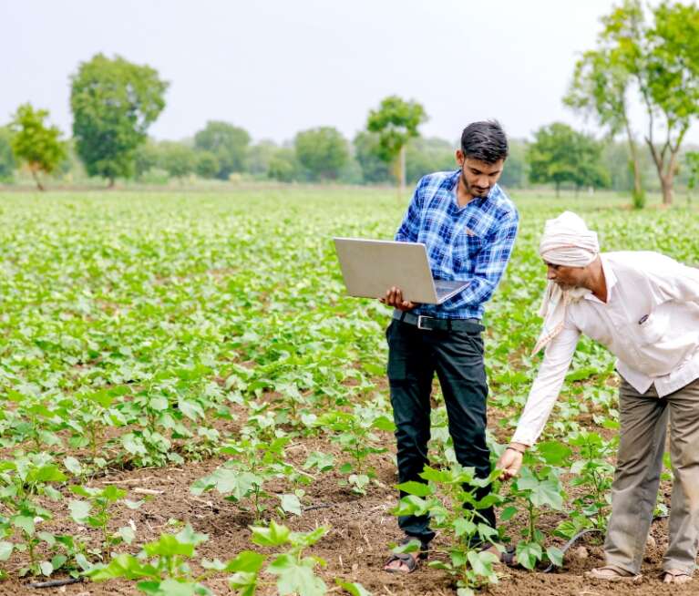 Learn why organic carbon is essential for soil fertility, nutrient retention, microbial activity, and long-term agricultural productivity.