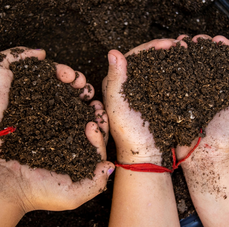 Learn why organic carbon is essential for soil fertility, nutrient retention, microbial activity, and long-term agricultural productivity.