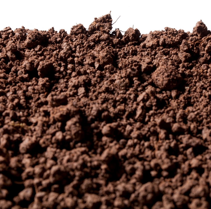 Learn why organic carbon is essential for soil fertility, nutrient retention, microbial activity, and long-term agricultural productivity.